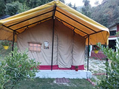 Shimla Camping