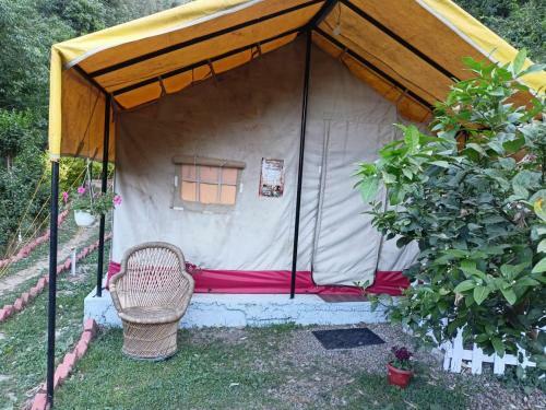 Shimla Camping