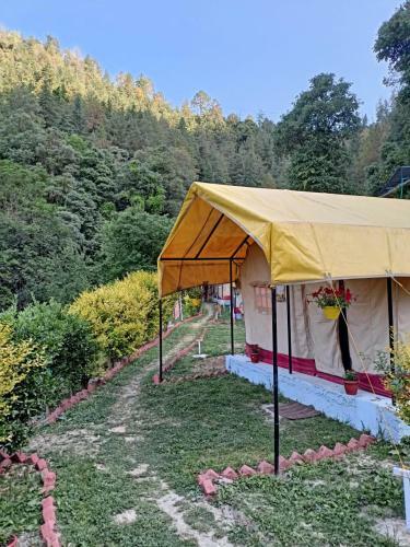 Shimla Camping