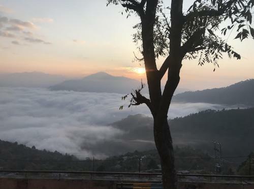Lake View Homestay