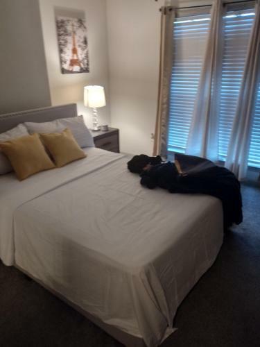 Quiet Apartment With Connections To Interstate 400