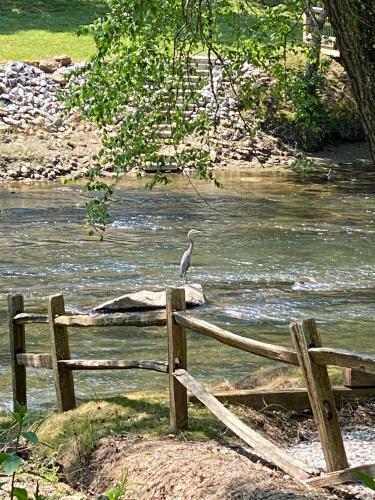 3br W/ Mountain Views And River Access. Kayaks, Hot Tub, And More!