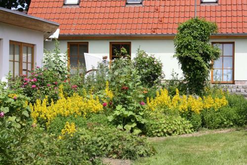 Apartamento Ferienhaus - Gr�ner Katen