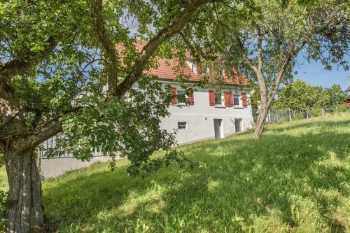 Apartamento Ferienwohnung Schwarzwald Idyll