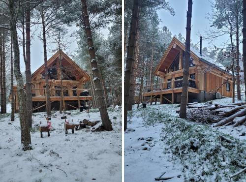 Pine Marten Lodge