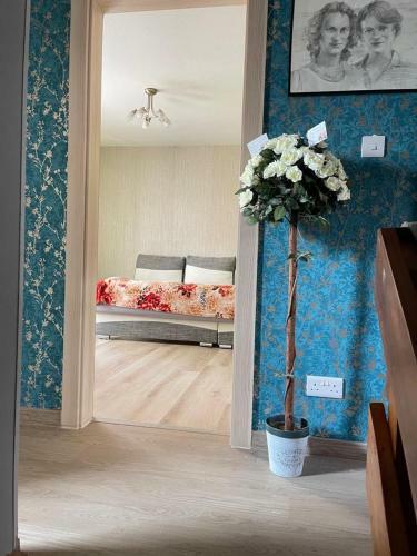 Hostal Homely Quite Room