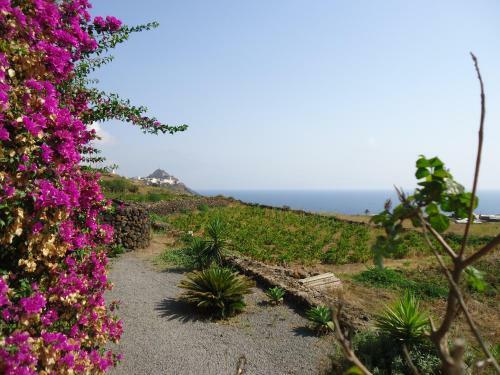 Agriturismo Zibibbodoro