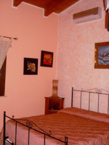 Agroturismo Colledisisto Srl