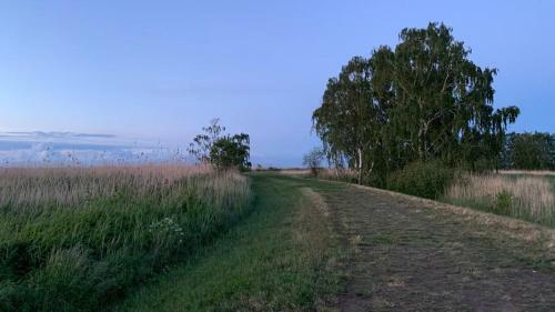 Strandliebe Am Stettiner Haff