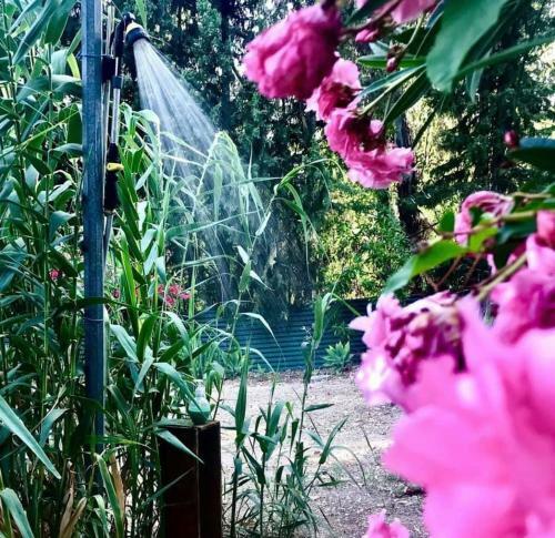 Las Tres Rosas Petfriendly House