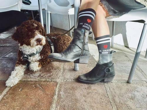 Las Tres Rosas Petfriendly House