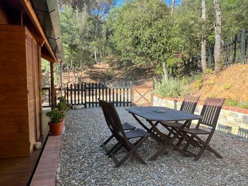 Rustic Cabin In The Woods/caba�a En El Bosque