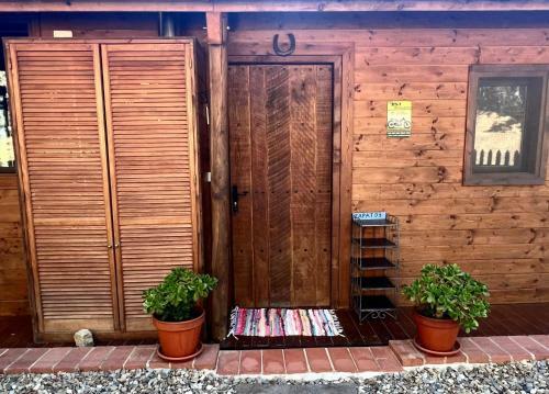 Rustic Cabin In The Woods/caba�a En El Bosque