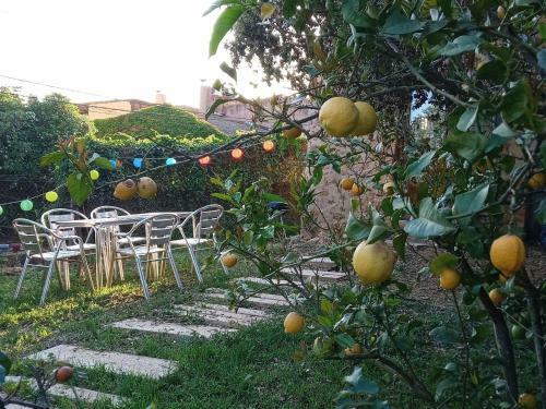 Rustic Holiday Home In Girona With Private Garden