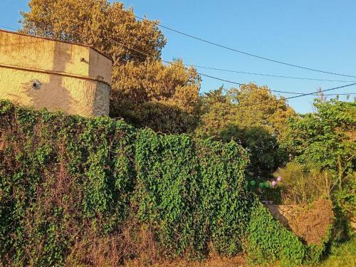Rustic Holiday Home In Girona With Private Garden