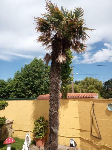 Casa En Primera L�nea De Playa