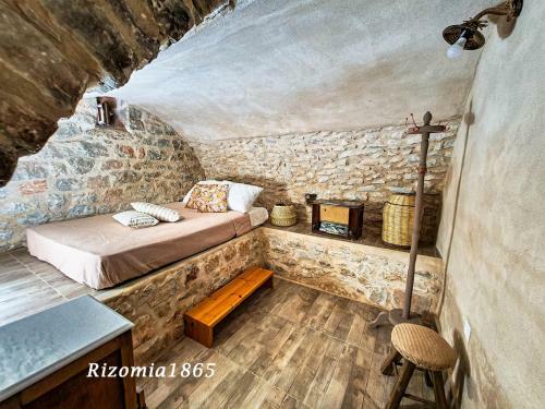 Rizomia1865