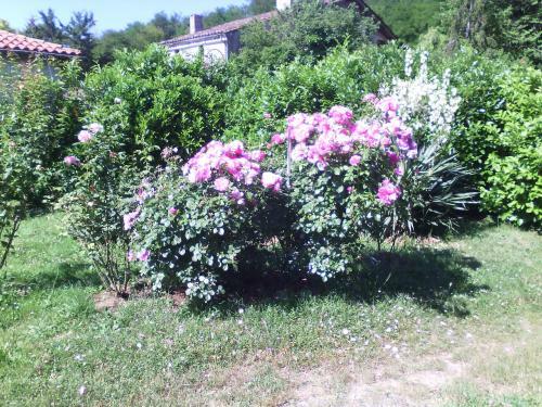Agroturismo L'ancien Patronage