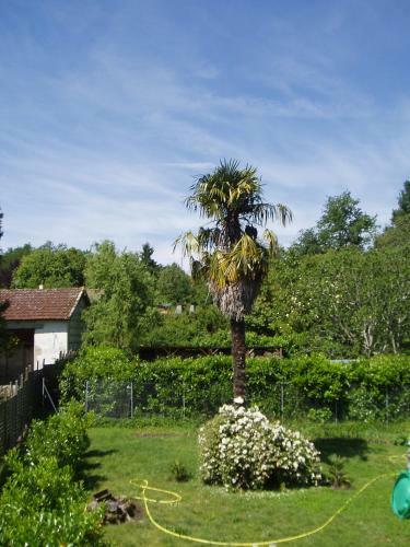 Agroturismo L'ancien Patronage