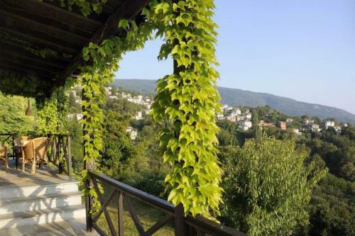 Villa Bird's Eye-view