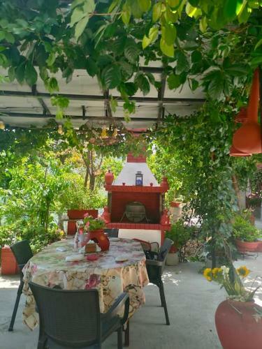 Apartamento Hara's House