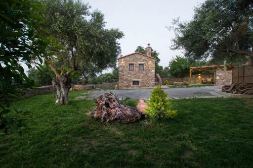 Villa Karyoupolis Lounge Cave House