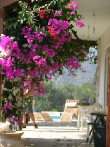 Villa Frangipani With Large Private Pool, Rhodes