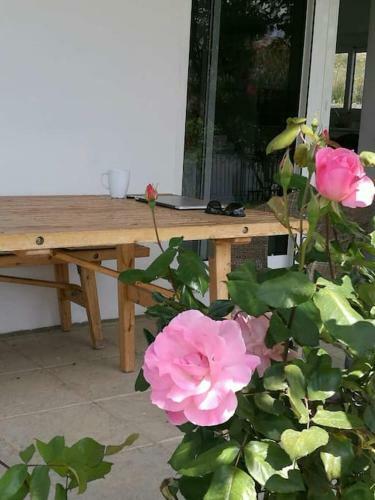 Villa Frangipani With Large Private Pool, Rhodes