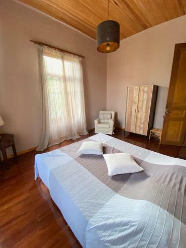 Villa Paolina - Grand Mansion
