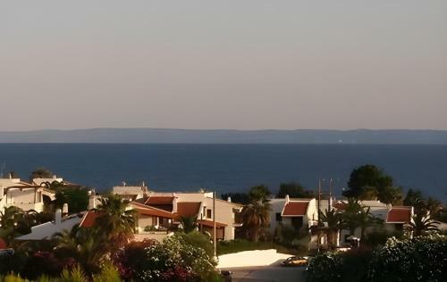 Summer House In Trikorfo, Gerakini With Sea View