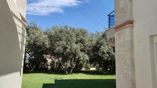 The Olive Garden Apartment