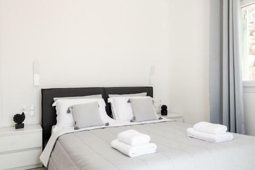 Dioni Villa Mykonos