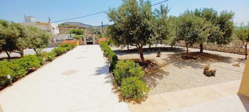 Sunny Garden