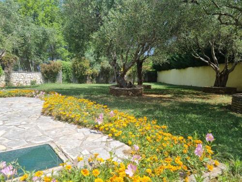 Corfu Villa Dassia 1