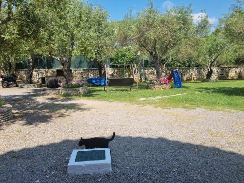 Corfu Villa Dassia 1