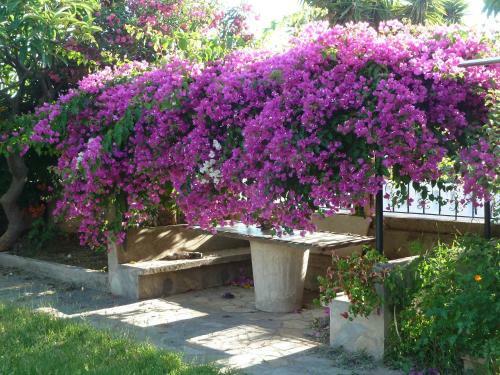 Apartamento Dimitris Corner (apt4)-?????????? ??? 4 ????? ?? ??????????? ?????