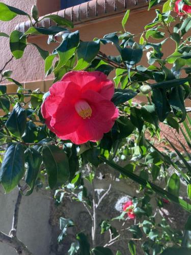 Agroturismo La Maison De C�sar
