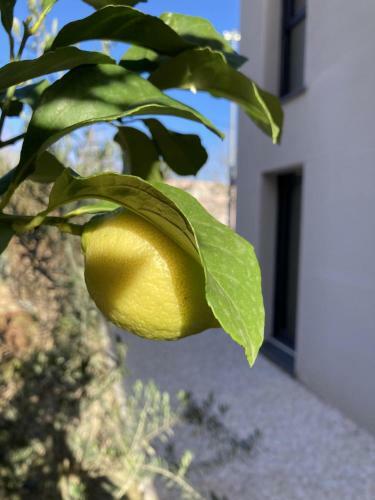 Agroturismo La Maison De C�sar