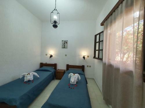 Karavostasi Cozy Apartments