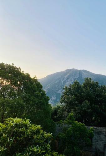 Il Prugnolo