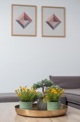 Apartment Santa Marina 4