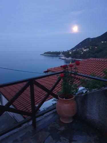 Endless Blue Home