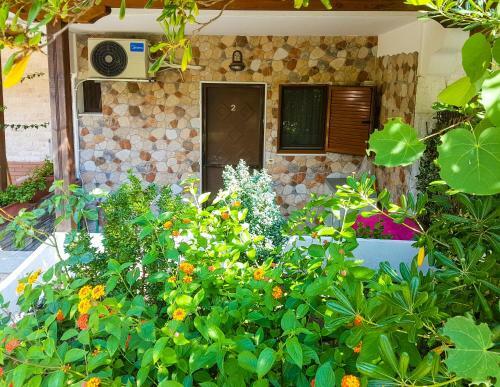 The ''golden Hour'' Beachfront Cottage