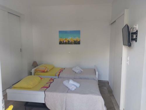 Androshouses - Agios Petros Beach Apartments