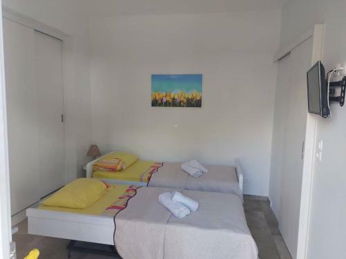 Androshouses - Agios Petros Beach Apartments