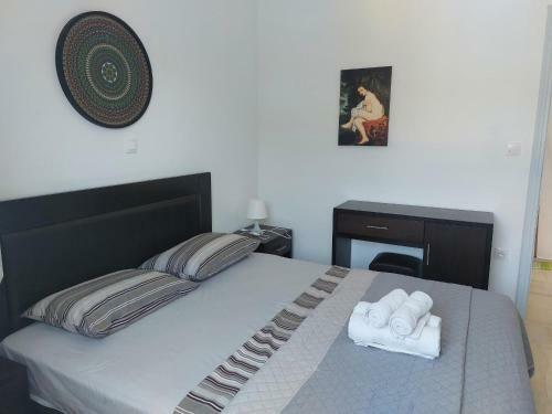 Androshouses - Agios Petros Beach Apartments