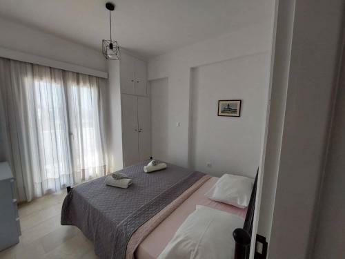 Androshouses - Agios Petros Beach Apartments