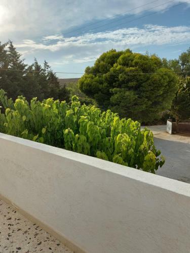 Androshouses - Agios Petros Beach Apartments
