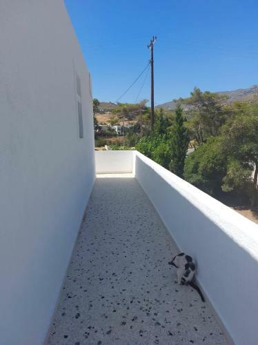 Androshouses - Agios Petros Beach Apartments