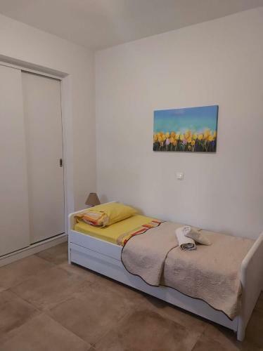 Androshouses - Agios Petros Beach Apartments